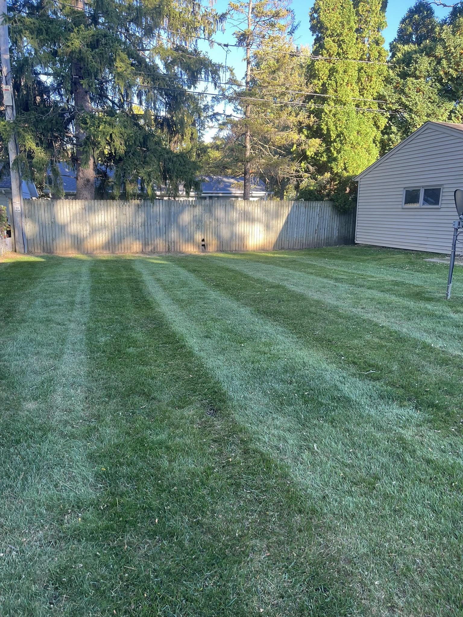 Shaded suburban lawn with crisp mowing stripes and tree line